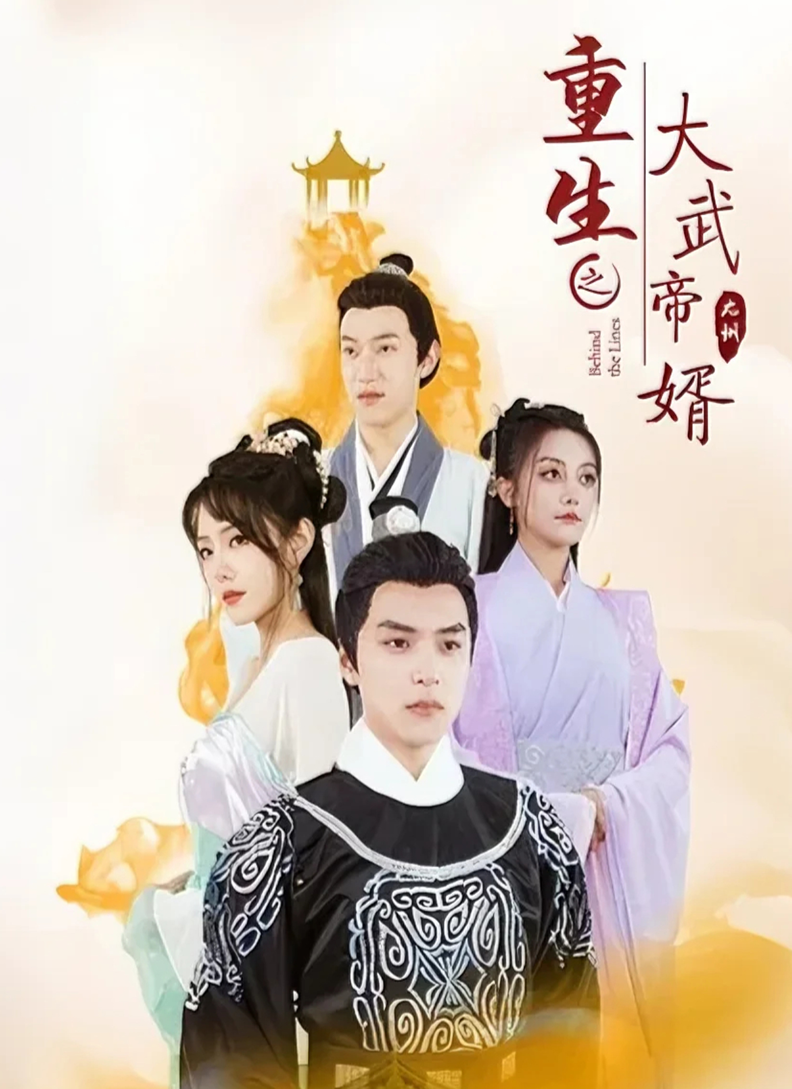 重生之大武帝婿