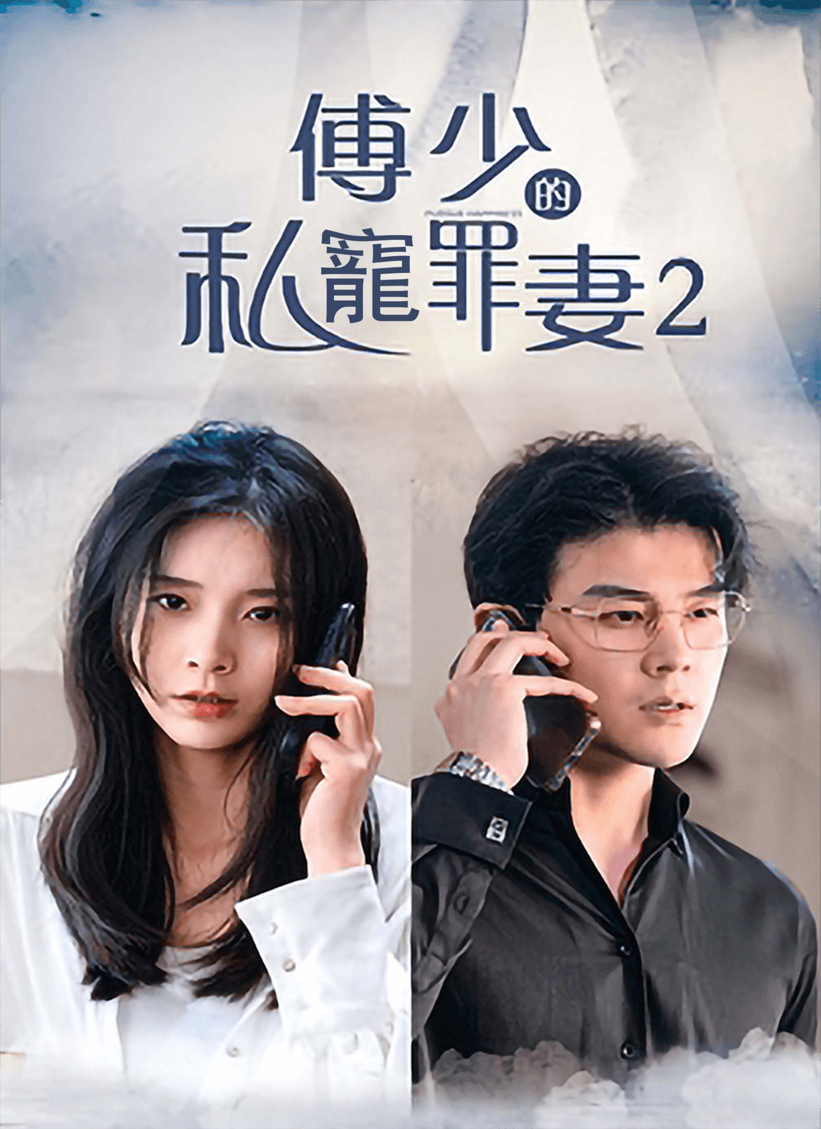 傅少的私寵罪妻2