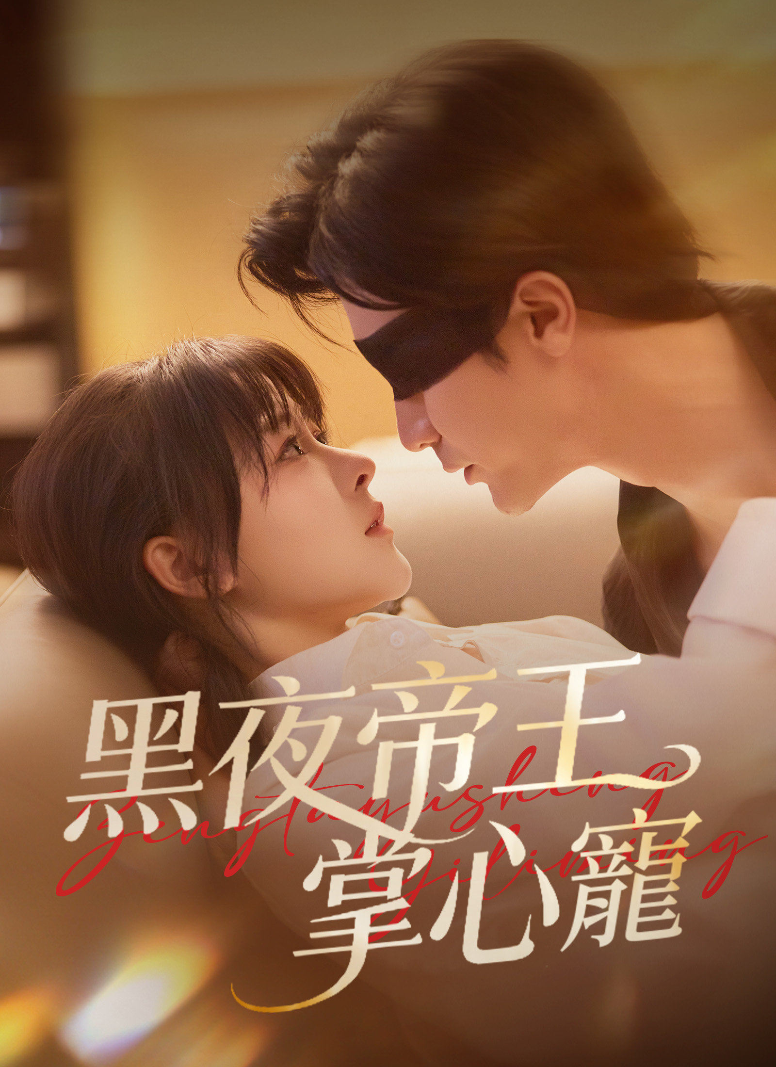 黑夜帝王掌心寵