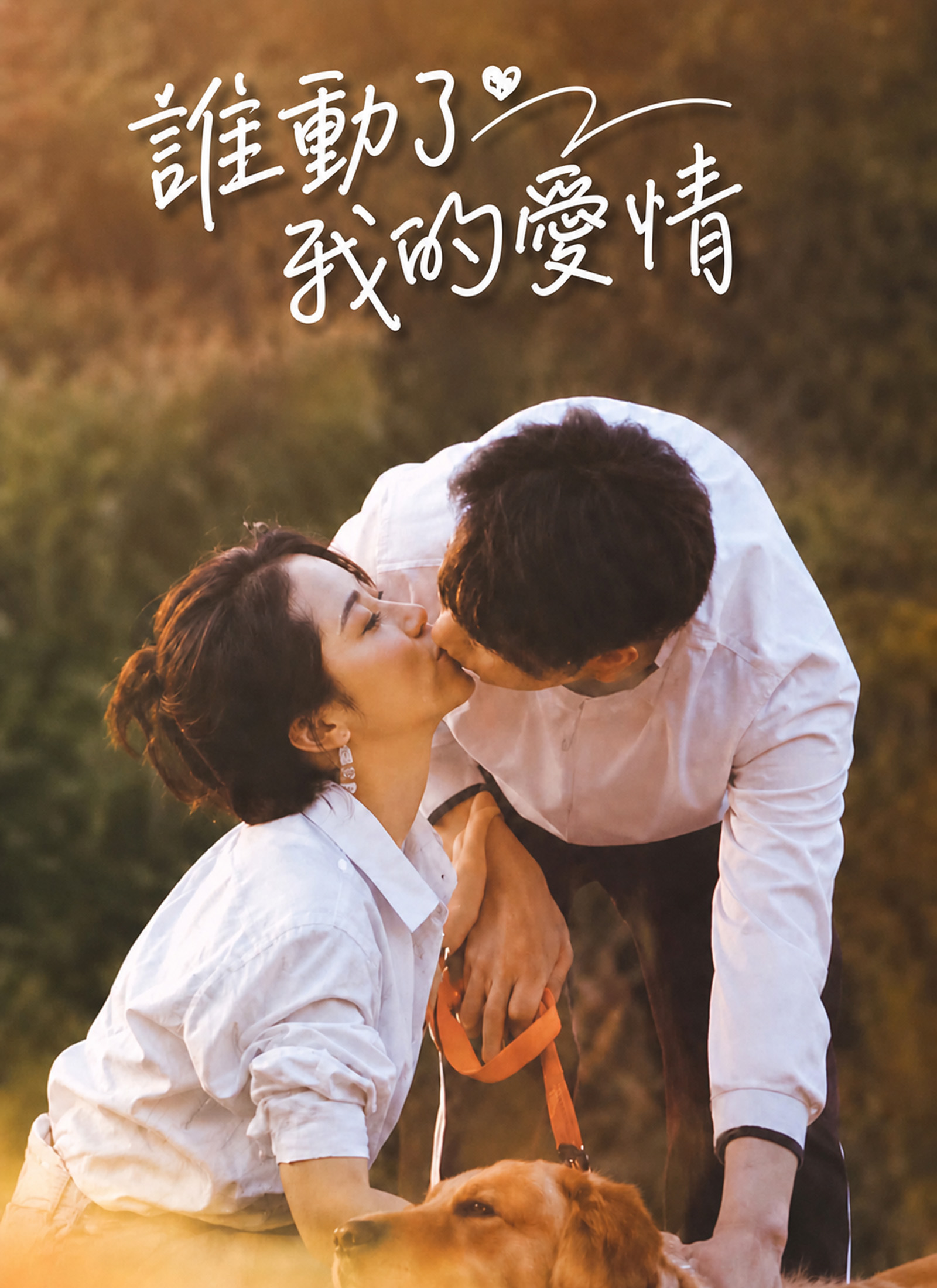 誰動了我的愛情