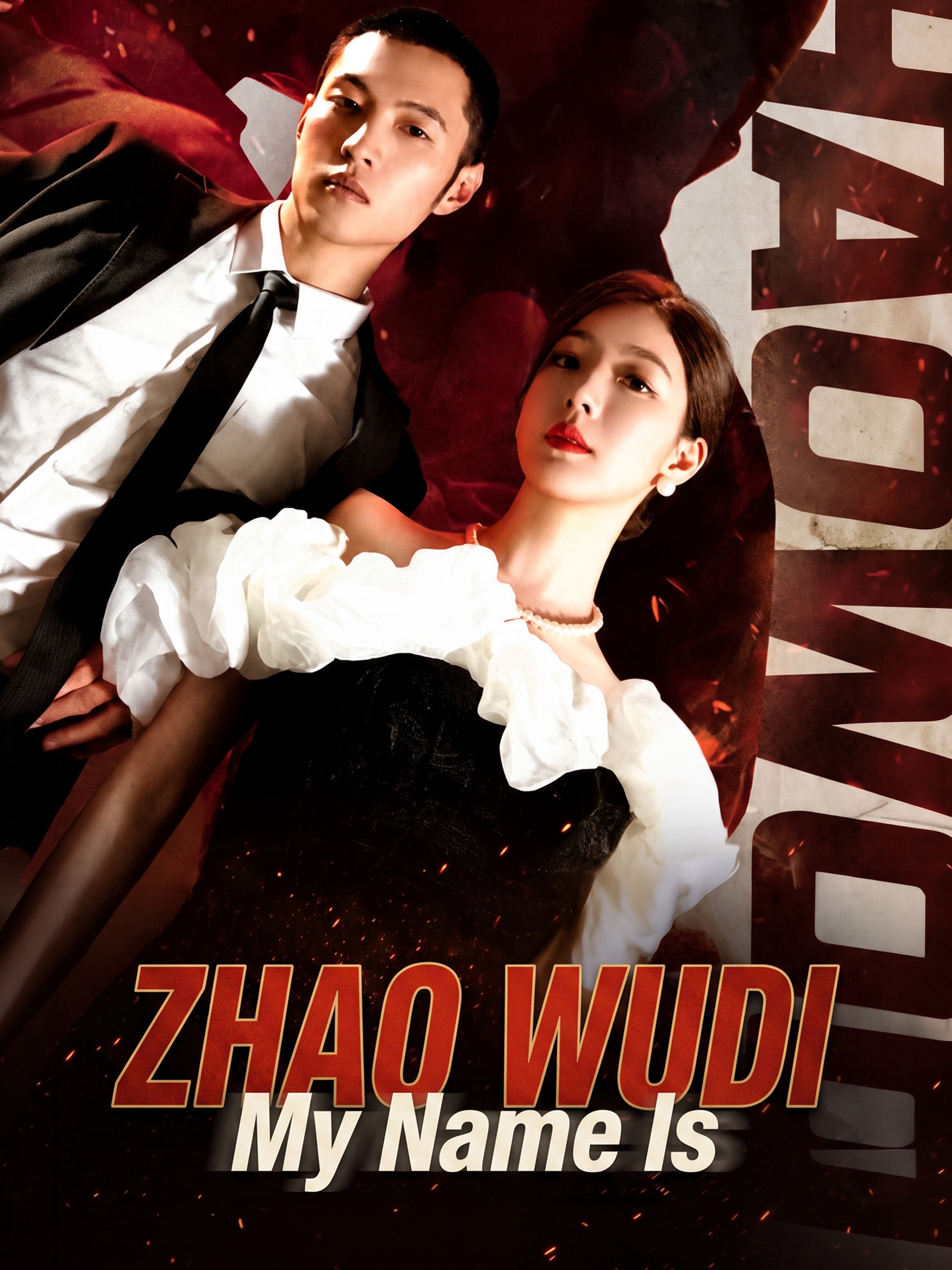 My Name Is Zhao Wudi